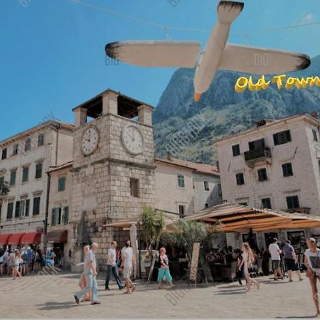 코토르 Old Town Heart 아파트 외부 사진
